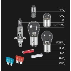 Incandescent bulb FORMULA 1 SK100