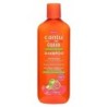 Anti-dandruff Shampoo Cantu Scalp relief 400 ml