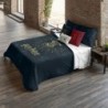 Nordic cover Harry Potter Dormiens Draco 155 x 220 cm Single