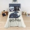 Nordic cover Harry Potter 155 x 220 cm Single