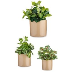 Set of pots 3 Pieces Ø 14 cm Ø 22 cm Ø 17 cm Cylinder Beige