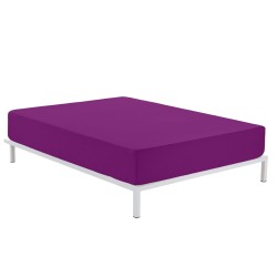 Fitted sheet Alexandra House Living Purple 200 x 200 cm