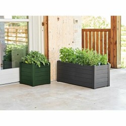 Planter TeraPlast Green 42 x 40 cm