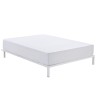 Fitted bottom sheet Alexandra House Living White 180 x 190/200 cm