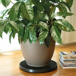 Flowerpot Standt with Wheels Deroma Anthracite Recycled Injected 100 % Recycled