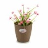 Planter Stefanplast Brown Plastic 19 x 17,5 x 19 cm (12 Units)