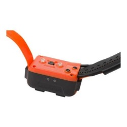 Dog collar Num'Axes Canicom GPS GEO1047