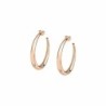 Ladies' Earrings La Petite Story LPS01AQB15