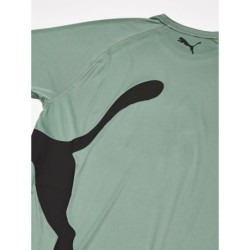 Men’s Short Sleeve T-Shirt Puma 523863 44 Green (M)