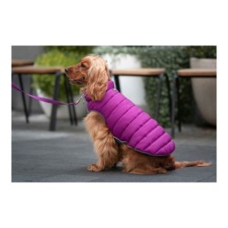 Dog Coat Red Dingo Puffer Pink/Purple 35 cm