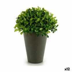 Decorative Plant Plastic 13 x 16 x 13 cm Green Grey (12 Units)