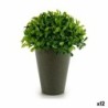 Decorative Plant Plastic 13 x 16 x 13 cm Green Grey (12 Units)