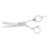 Hair scissors Neostar Eurostil ESCULPIR 5.5" 5,5"